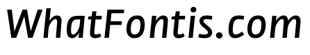 NN Medien Medium Italic Webfont