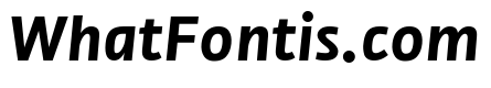 NN Medien Bold Italic Webfont