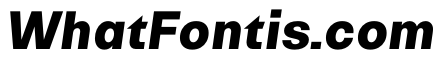 NTRappel BlackItalic