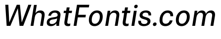 NTNeuss MediumItalic