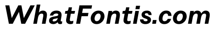 NTDapper BlackItalic