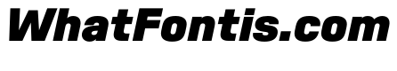 SwissDinVAR BlackItalic Instance