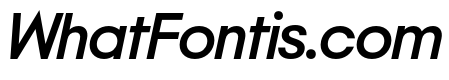 NeoGeo MediumItalic 3f8e7de4