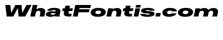 AntarcticaVAR UltraExpandedBlackItalic Instance