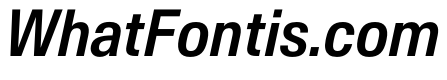 AntarcticaVAR CondensedMediumItalic Instance