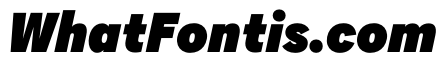 AlaskaVAR CondensedExtraBlackItalic Instance