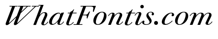Agatha MediumItalic Dfb53ec3