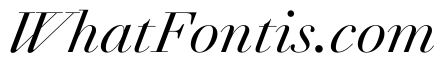 Agatha ContrastItalic Aed25f3f