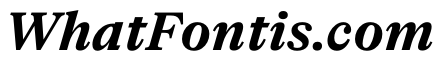 NaNSuperXSerifText PREVIEW BoldItalic