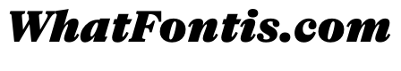 NaNSuperXSerifText PREVIEW BlackItalic