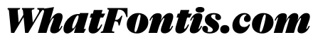 NaNSuperXSerifHeadline PREVIEW BlackItalic