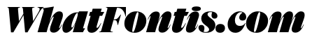 NaNSuperXSerifDisplay PREVIEW BlackItalic