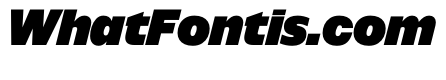 NaNSuperXSansDisplay PREVIEW BlackItalic