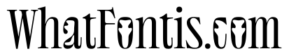 NaNSuccessTitling Condensed