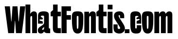 NaNSuccessSans ExtraBold