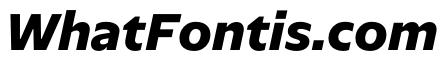 NaNSerfSans ExtraBoldItalic