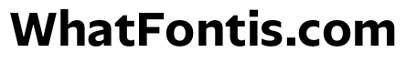 NaNSerfSans Bold
