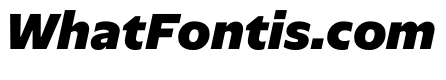 NaNSerfSans BlackItalic