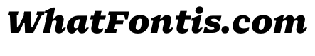 NaNSerfBMicro BlackItalic