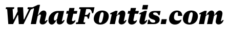 NaNSerfAText BlackItalic