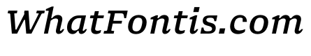 NaNSerfAMicro MediumItalic