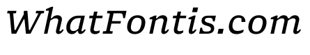 NaNSerfAMicro Italic