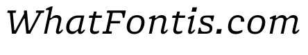 NaNSerfAMicro BookItalic