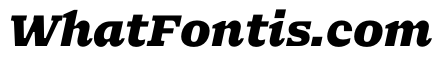 NaNSerfAMicro BlackItalic