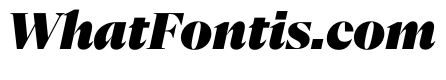 NaNSerfADisplay BlackItalic
