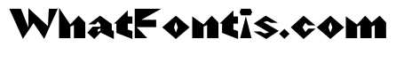 NaNRageZippStd Blk
