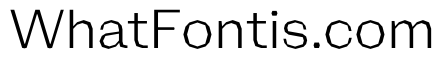 NaNRagePolyStd Lt