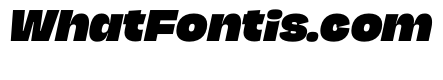 NaNJaune MaxiBlackItalic