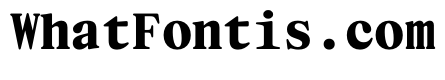 NaNIndexMono PREVIEW ExtraBold