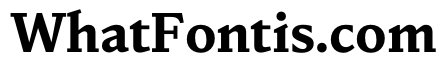 NaNDruid Semibold