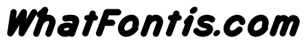 MTMizzen HeavyItalic