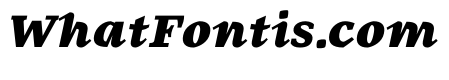 MTArchi HeavyItalic