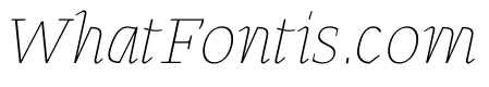 MTArchi HairlineItalic