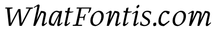 MTArchi BookItalic