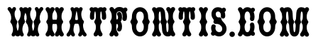 MFSkeleton Heavy