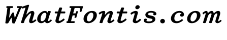 TriplicateAPolyBoldItalic