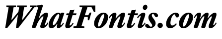 EquityABoldItalic