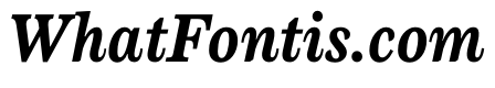 CenturySupraBBoldItalic