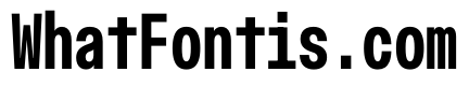 OpenInto 400Bold Instance