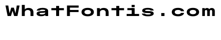 OpenInto 1000Bold Instance