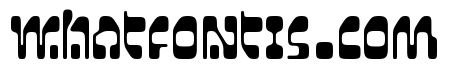 Coppator Bold
