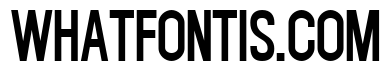 USA Nike Font 2010
