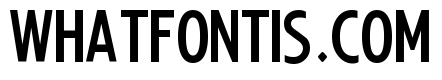 MLS 2013