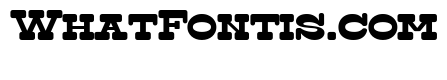 Surfbird Slab Round Bold