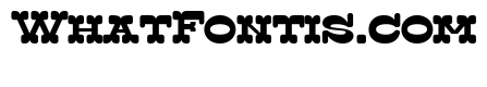 Surfbird Cut Round Bold
