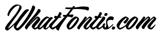 Big Tickle Script Regular